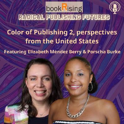 Color of Publishing 2, perspectives from the United States