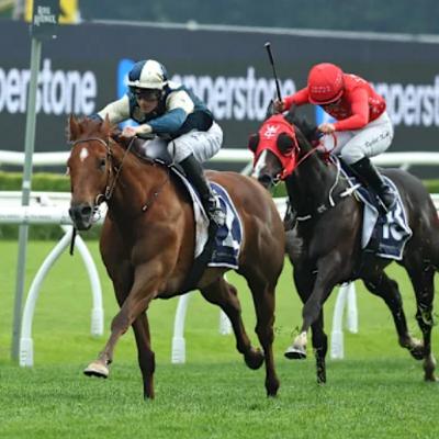 Punter's Preamble - 2025 CF Orr Stakes Day