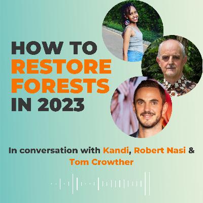 What’s new for forests in 2023 What’s new for forests in 2023