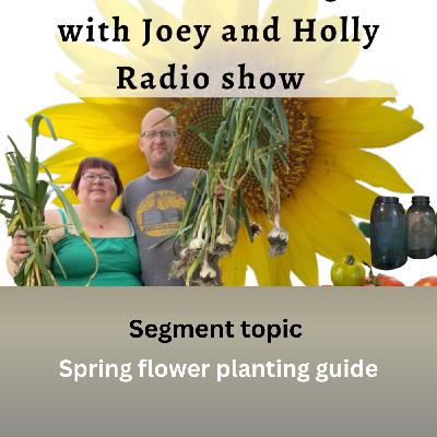 Episode 1524: Seg 2 of S10E5 Spring flowers - The Gardening with Joey and Holly Radio Show