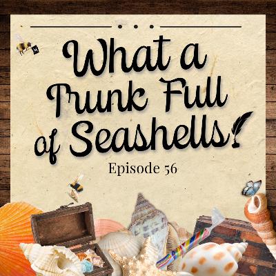 Episode 56 - What a Trunk Full of Seashells! [S3 Episode Rankings]