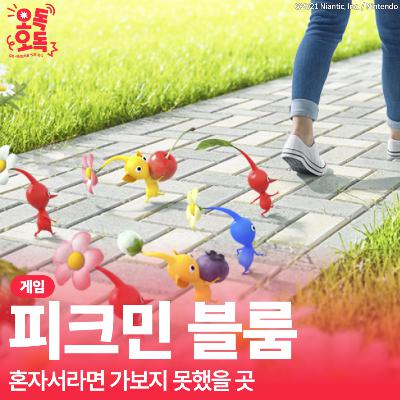 22. 게임 <피크민 블룸> | 혼자서라면 가보지 못했을 곳