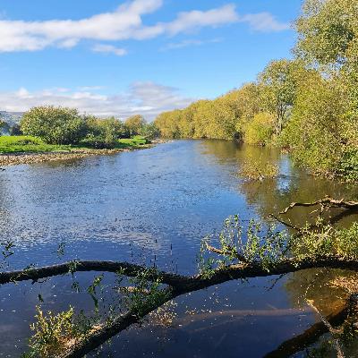 Sound Escape 244. Hear the song of the River Usk in Autumn Sound Escape 244. Hear the song of the River Usk in Autumn