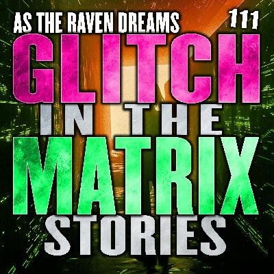 Glitch In The Matrix Stories Ep. 111 | ATRD Podcast