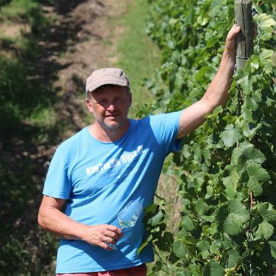 Bio, Wein, Nachhaltigkeit und das Klima – FoodHub München zu Besuch bei Bio-Winzer Wolfgang Betz