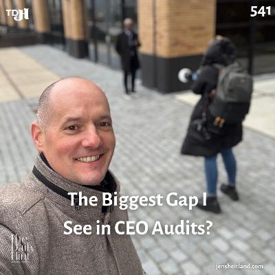 541 - The Biggest Gap I See in CEO Audits?