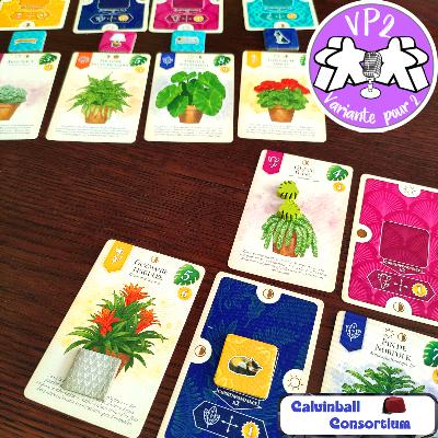 13 Verdant - Passion plantes