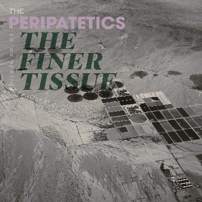 The Finer Tissue The Finer Tissue