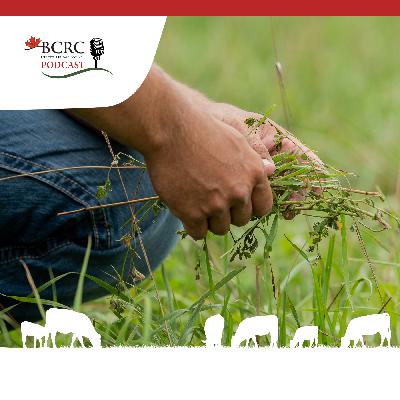 Episode 73: Forage Without Borders Episode 73: Forage Without Borders