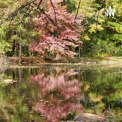 Sanctuary of Insight