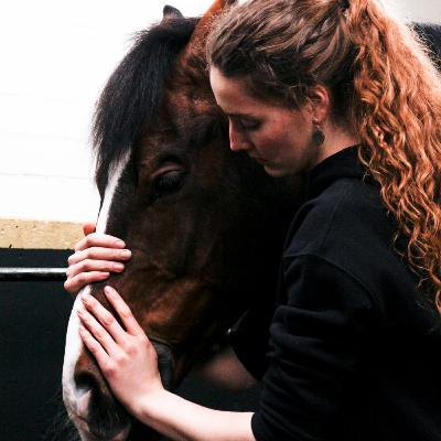 Cherinda - osteopaat en craniosacraal therapeut voor paarden