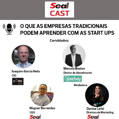 O grande desafio para empresas tradicionais operarem com o mindset de startups e realmente fazerem a diferença em momentos críticos.