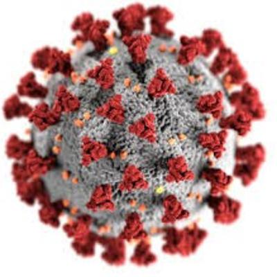 PRUEBAS DE LABORATORIO EMPLEADAS PARA DIAGNOSTICAR COVID-19