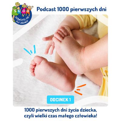 ODCINEK 1: 1000 pierwszych dni życia dziecka, czyli wielki czas małego człowieka!