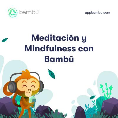 Claves para desarrollar el autoconocimiento - Bambú Meditación y Mindfulness