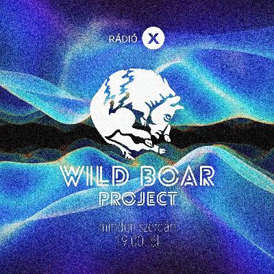 WILD BOAR RADIO SHOW - ARGO - 2025.08.27
