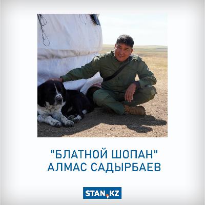 "Блатной шопан" Алмас Садырбаев: Мемлекеттік қызметті қой бағу үшін тастап кеттім
