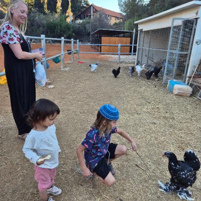 אפרוח הקסמים