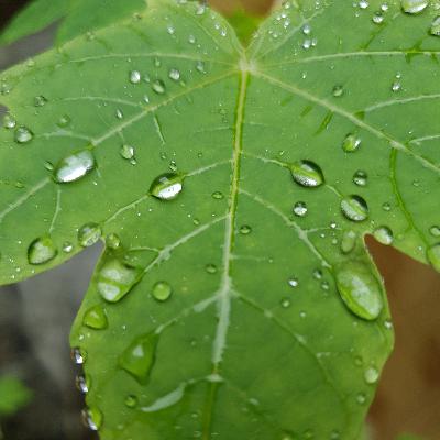 Agora eu sou uma estrela