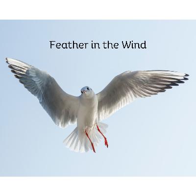 Meet Irène Litz-Barré Meet Irène Litz-Barré