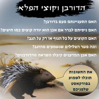 הדורבן וקוצי הפלא