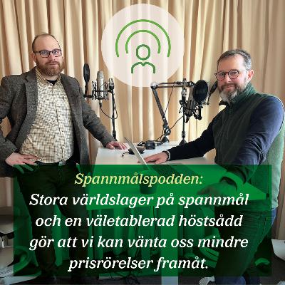 100. Spannmålssnacket 20 januari