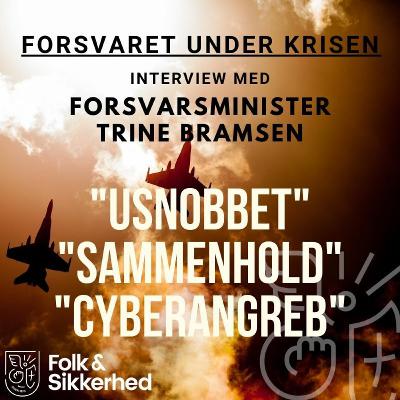 Forsvaret under krisen
