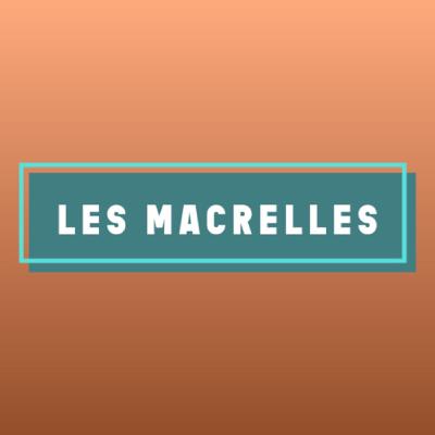 Épisode 4 - On peut être bête comme ça