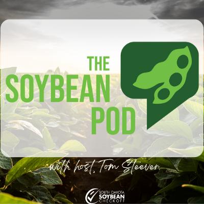 Soy Science: Boosting Yields and Soil Health with Nitrogen Fixation