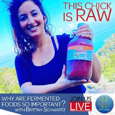 Fermented Foods|Coconut Kefir & Autism|Kombucha's Dirty Secret
