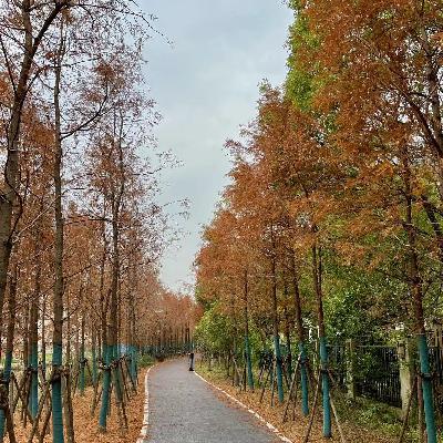 Ep9 好久不见，我回来了