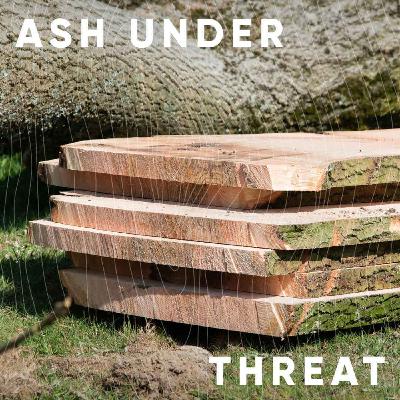 S3E1: Ash under threat with Sheridan Coakley, Wilkinson Rivera and Emma Hudgins