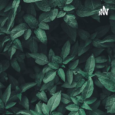 NHB__THOUGHTS