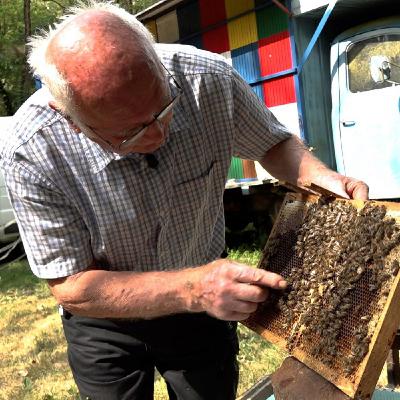 'Heureuse comme une abeille en Slovénie'