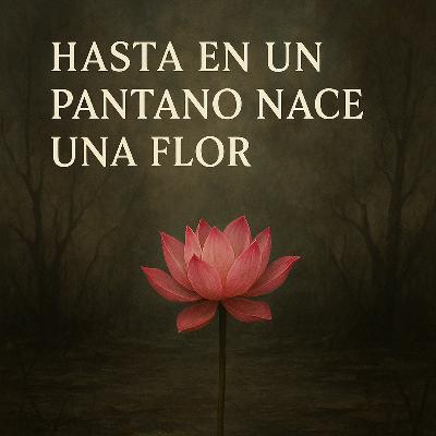Ofun Di - Hasta en los pantanos pueden nacer flores hermosas.