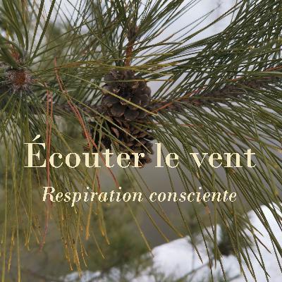 Écouter le vent