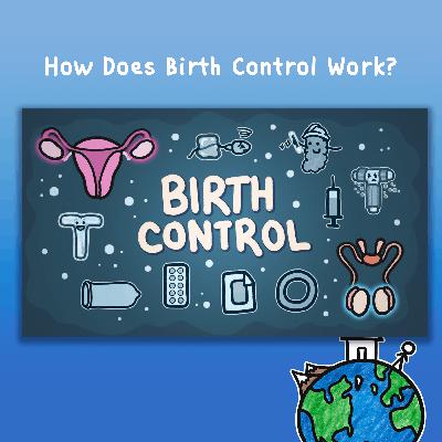 How Does Birth Control Work? How Does Birth Control Work?