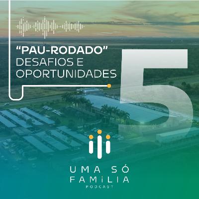 "Pau-Rodado": Desafios e Oportunidades