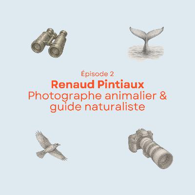 Renaud Pintiaux - Photographe animalier & guide naturaliste Renaud Pintiaux - Photographe animalier & guide naturaliste