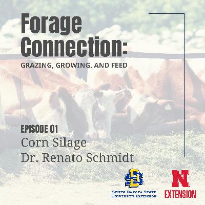 Corn Silage: Dr. Renato Schmidt - Part 1 Corn Silage: Dr. Renato Schmidt - Part 1