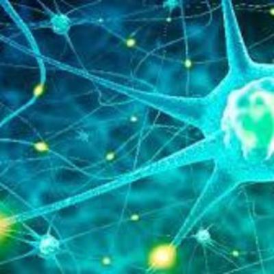 Podcast Células Nerviosas