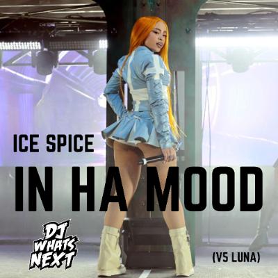 ICE SPICE - IN HA MOOD (LUNA V5) (DJ WHATSNEXT EDIT) (DIRTY)