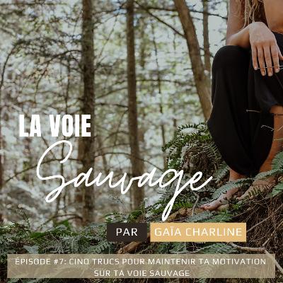 #7 Cinq trucs pour maintenir ta motivation sur ta Voie Sauvage #7 Cinq trucs pour maintenir ta motivation sur ta Voie Sauvage