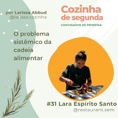#31 - O problema sistêmico da cadeia alimentar