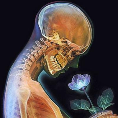 Temas generales de Radiología