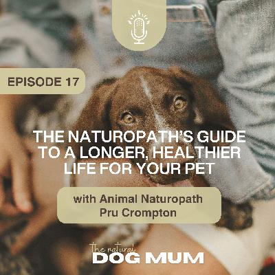 The Naturopath’s Guide to a Longer, Healthier Life for Your Pet with Naturopath Pru Crompton