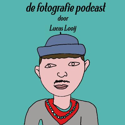 A5 S2. | alles over de natuur van flakkee