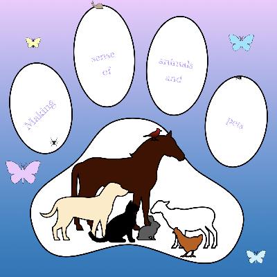 Fun facts about animals and pets
