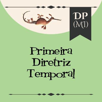 Primeira Diretriz Temporal