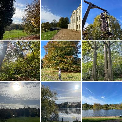 Halloween On A Halcyon Heath